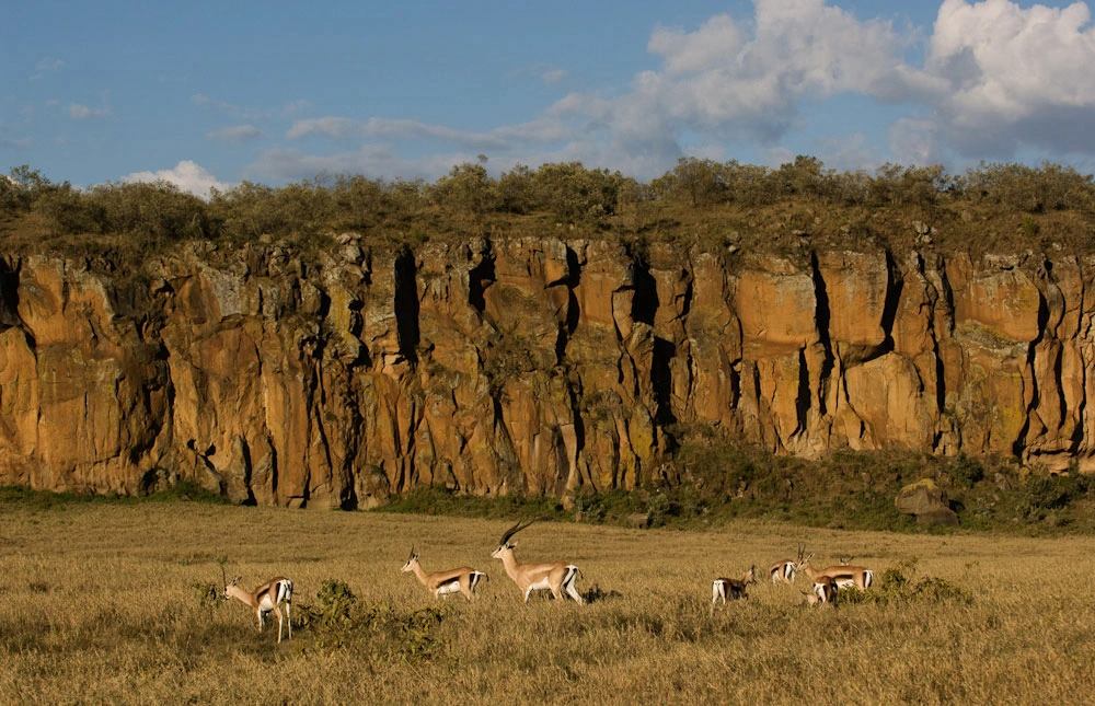 Hells Gate National Park image 5