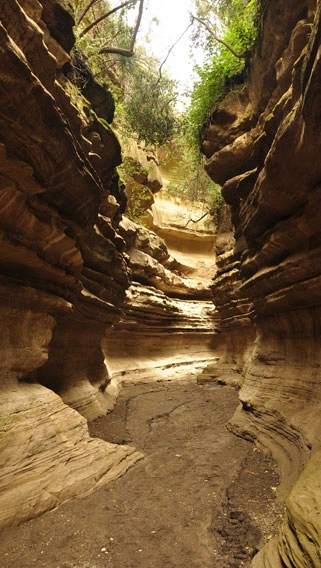 Hells Gate National Park image 4
