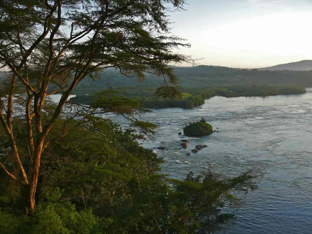 Jinja image 4
