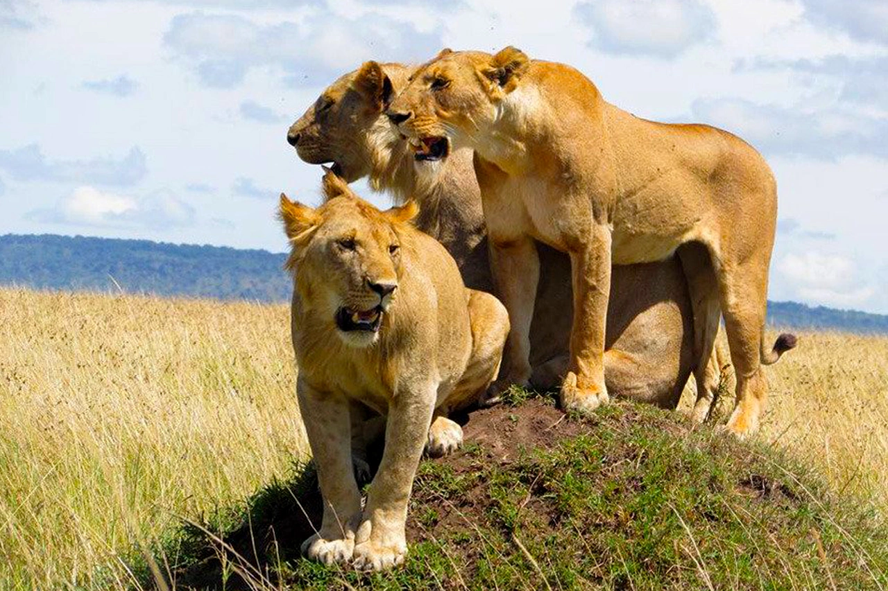 Kidepo Valley National Park image 4