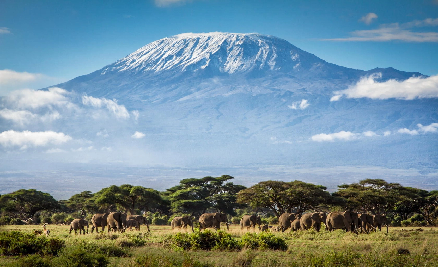 Kilimanjaro National Park image 4