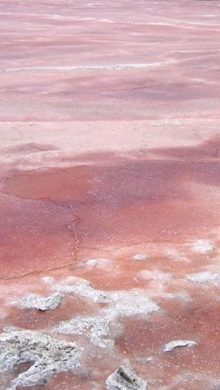 Lake Magadi image 2