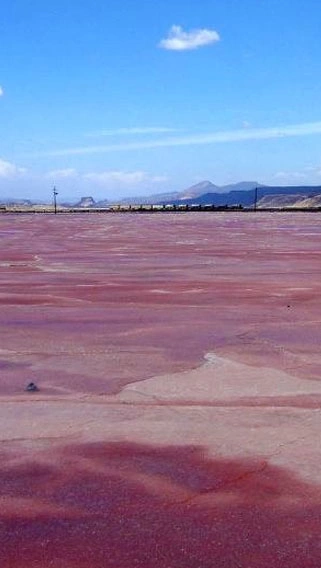 Lake Magadi image 3