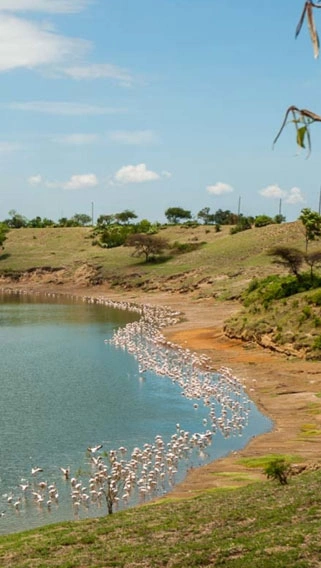 Lake Simbi National Santuary image 2