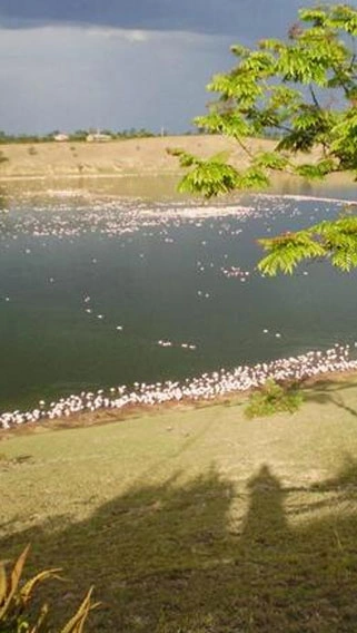Lake Simbi National Santuary image 3