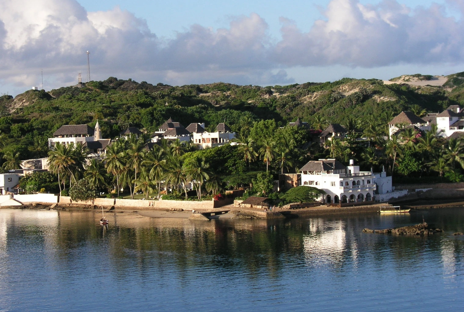 Lamu image 4
