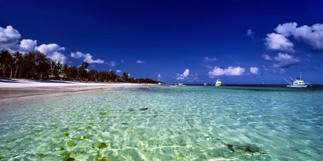 Malindi Marine National Park image 4
