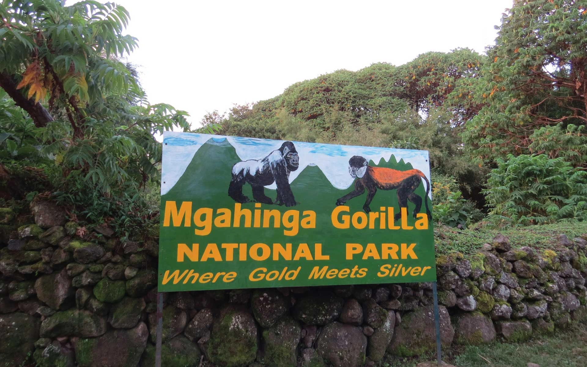 Mgahinga National Park image 4