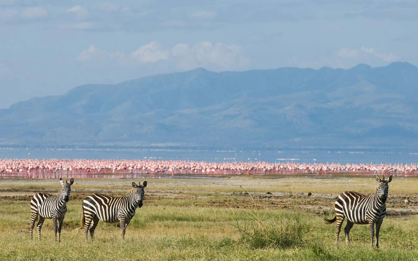 Mikumi National Park image 4