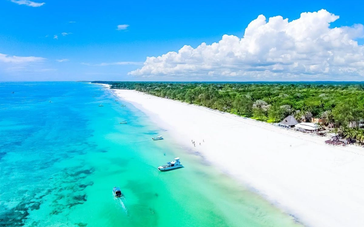 Mombasa Marine National Park image 5