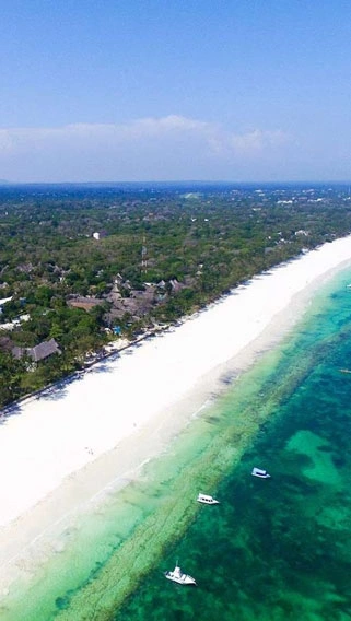 Mombasa Marine National Park image 3