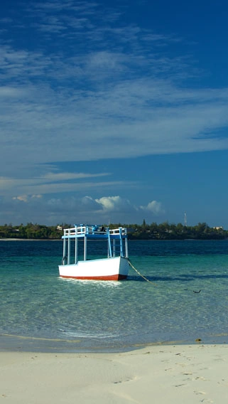 Mombasa Marine National Park image 2