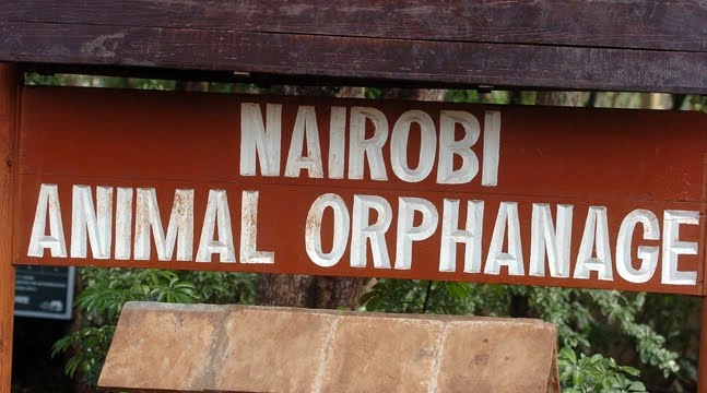 Nairobi Animal Orphanage image 3