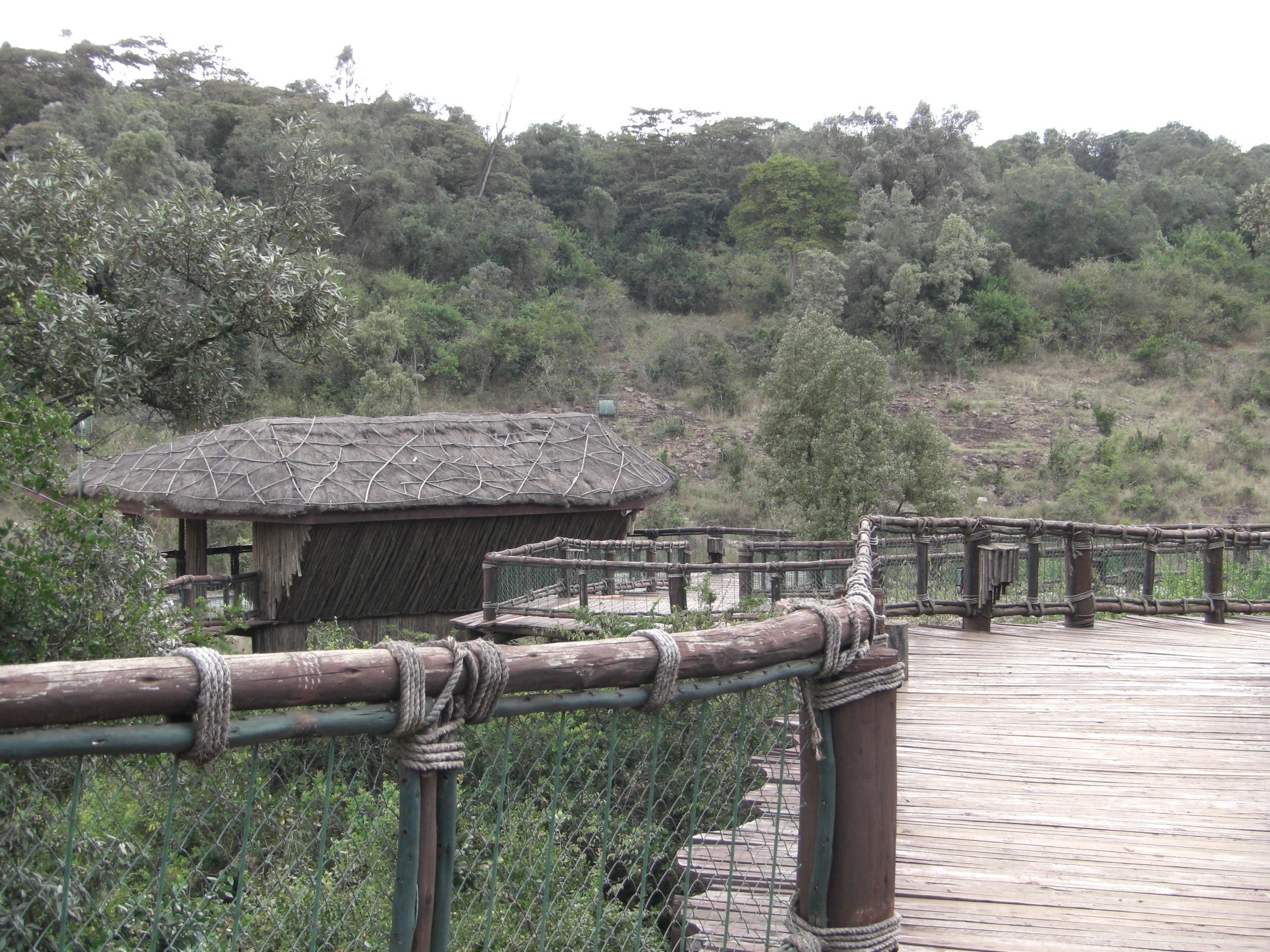 Nairobi Safari Walk image 3