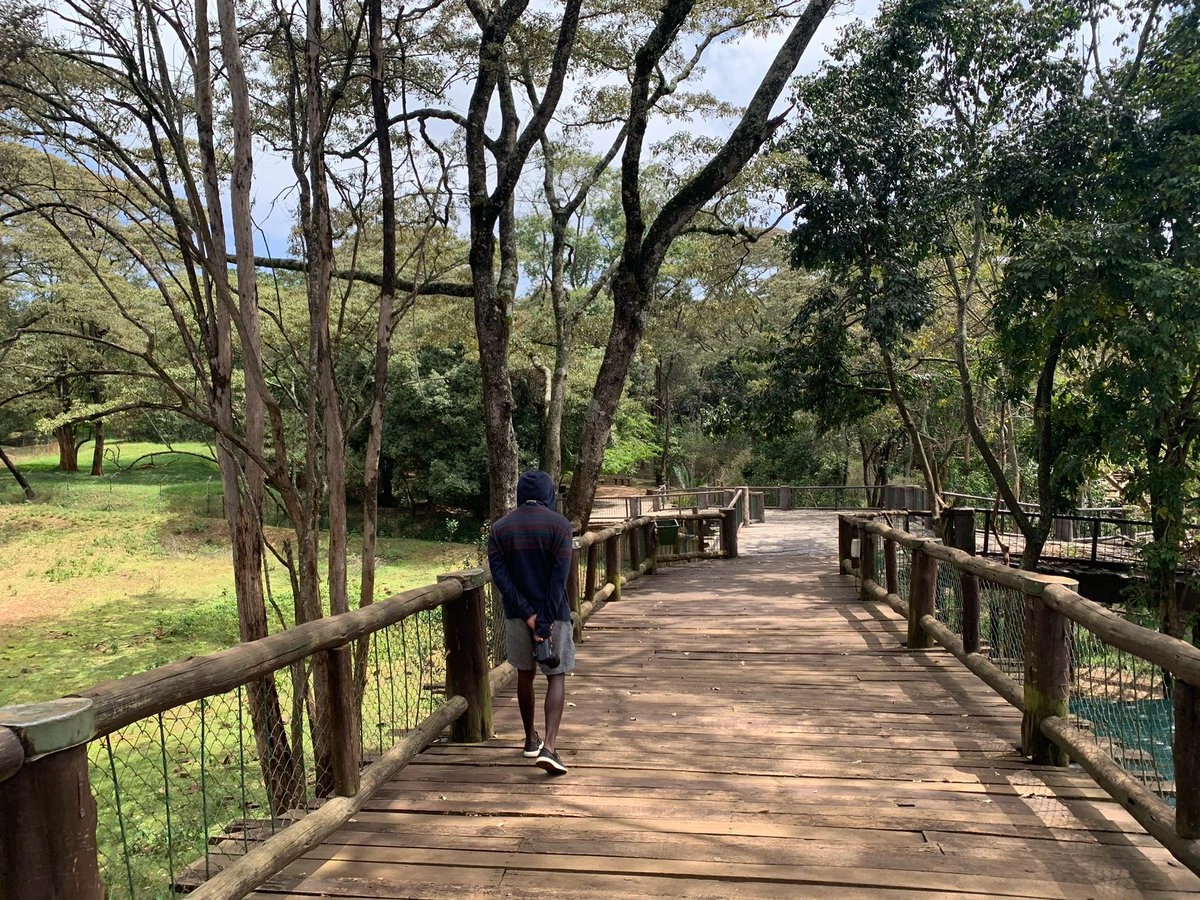 Nairobi Safari Walk image 2