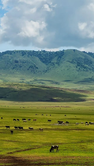 Nyerere National Park image 2