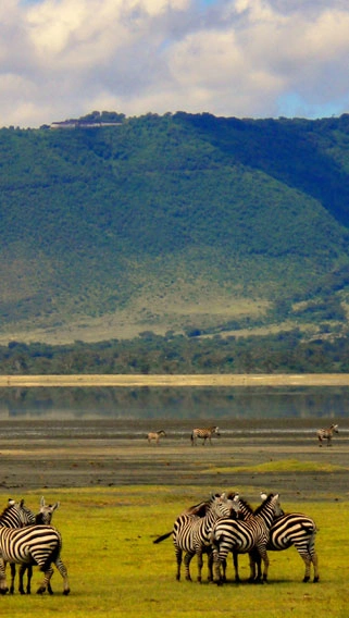 Nyerere National Park image 3
