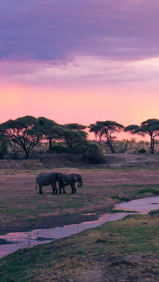 Ruaha National Park image 2