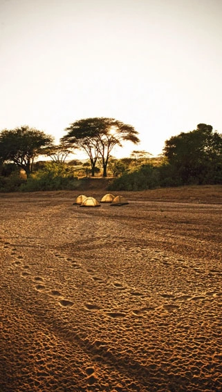 Ruaha National Park image 3