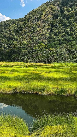 Semuliki National Park image 2