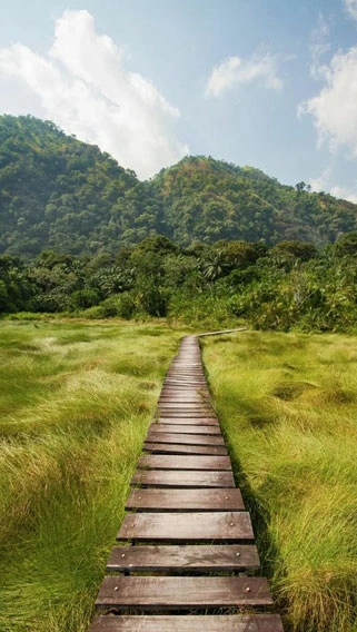 Semuliki National Park image 3