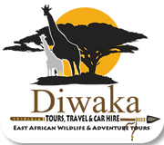 Diwaka Safaris