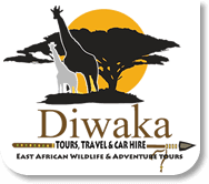 Diwaka Safaris