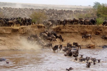 Masai Mara, Kenya-The Ultimate Safari Of A Lifetime!