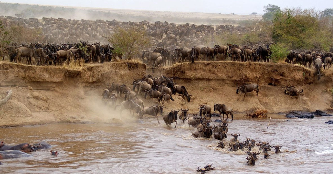 Masai Mara, Kenya-The Ultimate Safari Of A Lifetime!