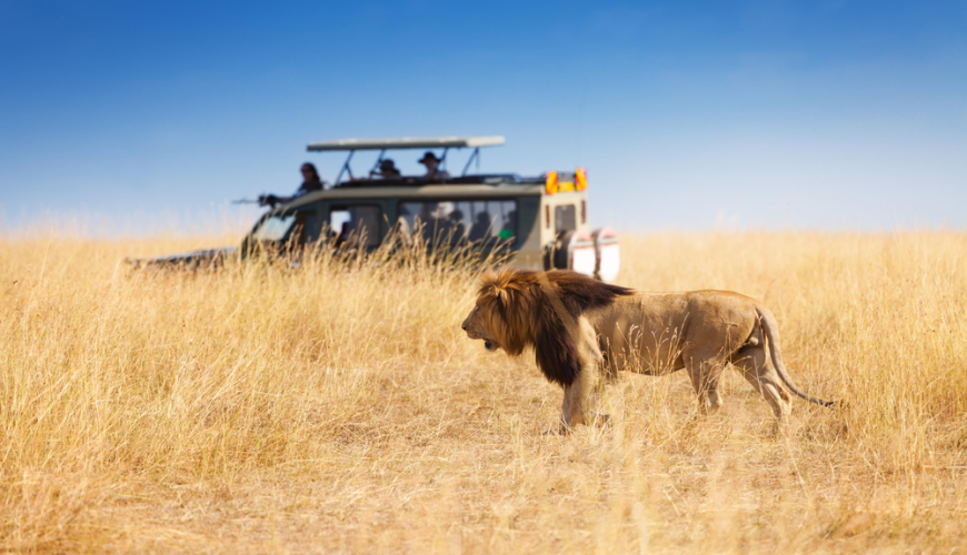 An Expert Guide To Planning a Kenya Budget Safari