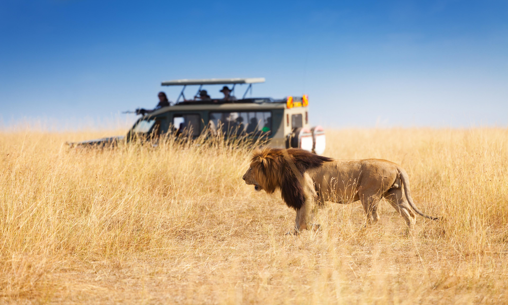 An Expert Guide To Planning a Kenya Budget Safari