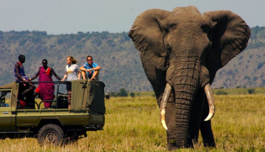 What You Need To Know While Preparing For Your Kenyan Safari For USA Travellers