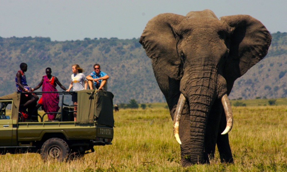 What You Need To Know While Preparing For Your Kenyan Safari For USA Travellers