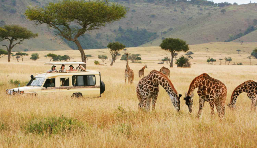 Kenya Safari Secrets – Uncovering The Beauty Of The African Savanna