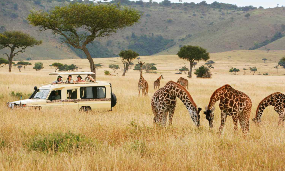 Kenya Safari Secrets – Uncovering The Beauty Of The African Savanna