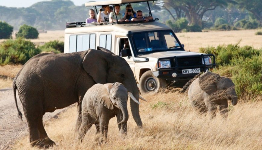 Kenya Safari Tour – Why Every Traveller Should Experience A Safari in Lifetime