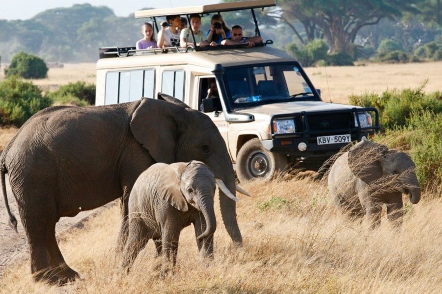 13 Days Tanzania Family Safari