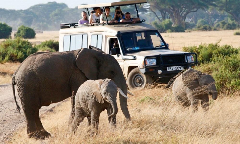 Kenya Safari Tour – Why Every Traveller Should Experience A Safari in Lifetime