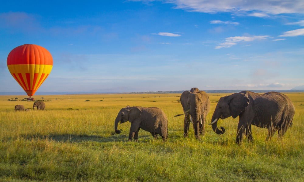 Masai Mara Safari – Discover The Magic Of Masai Mara On Your Kenya Safari