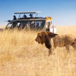 A First-Timer’s Guide to Planning a Safari in Kenya