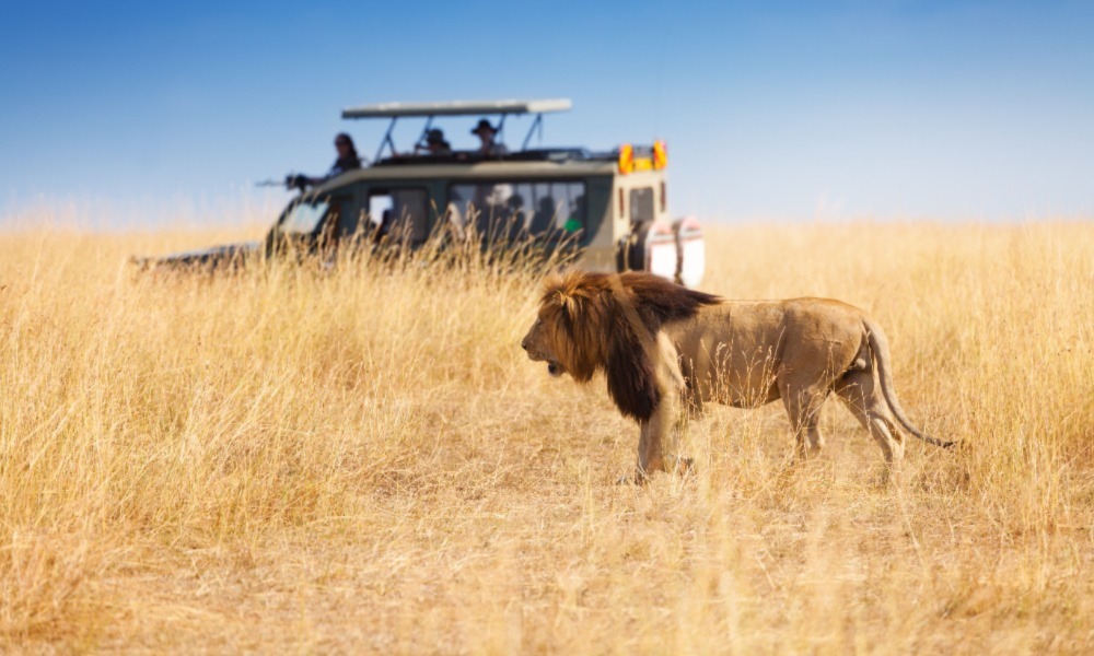 A First-Timer’s Guide to Planning a Safari in Kenya