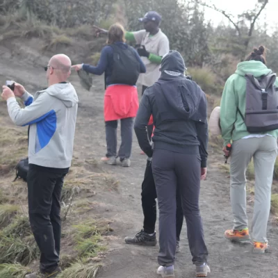 Tanzania mountain climbing programs