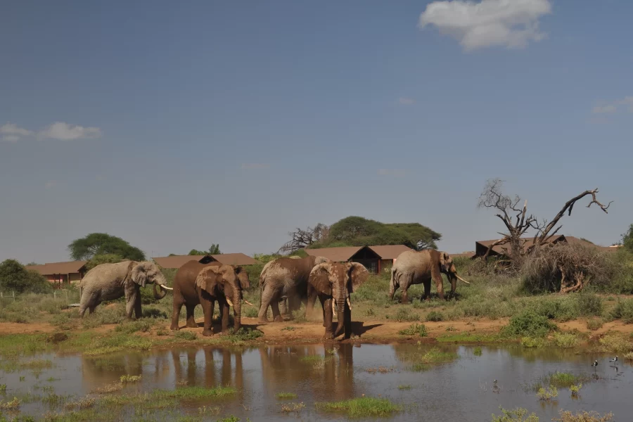 6 Days Great Rift Valley Maasai Mara Safari