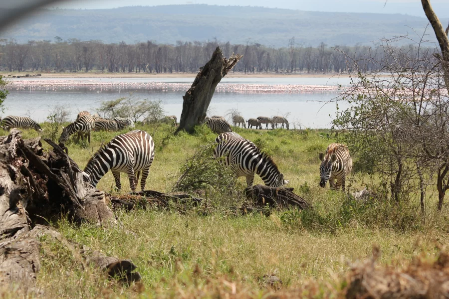 7 Days Tanzania Cultural Tour Bushmen Land