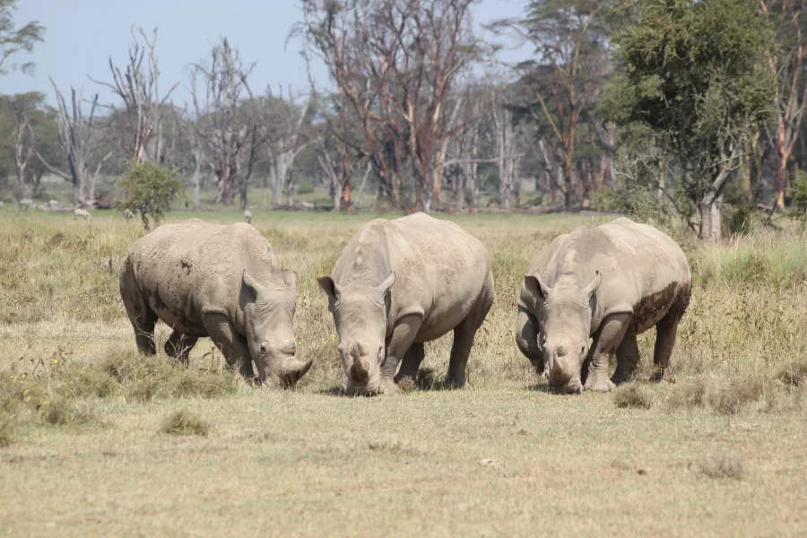 Liuwa Plain National Park