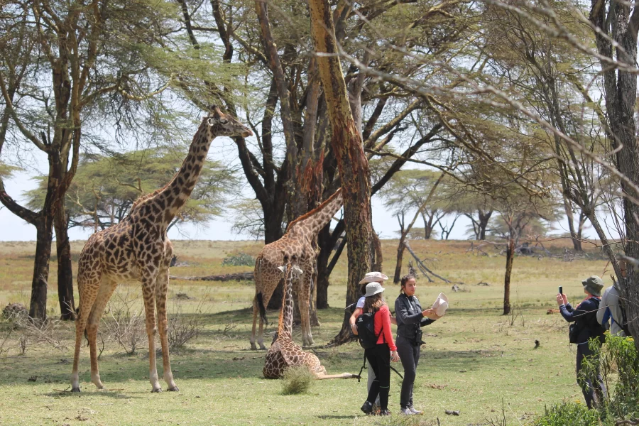 ONCE-IN-A-LIFE TIME HOLIDAY: KENYA & TANZANIA (17 Days)