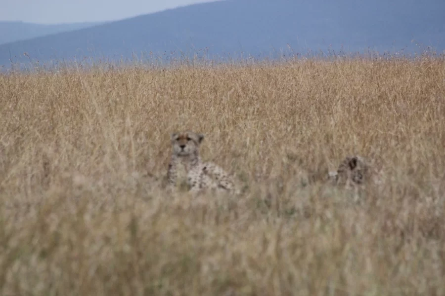 Kidepo Valley National Park