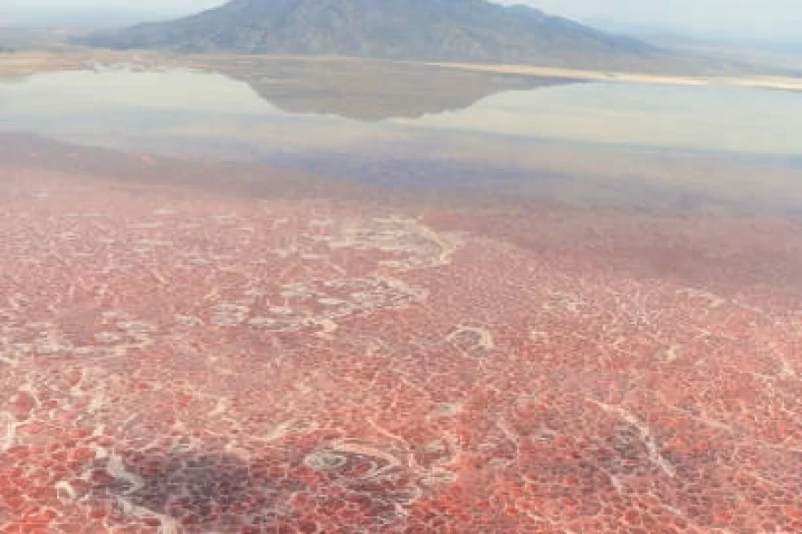 Lake Natron