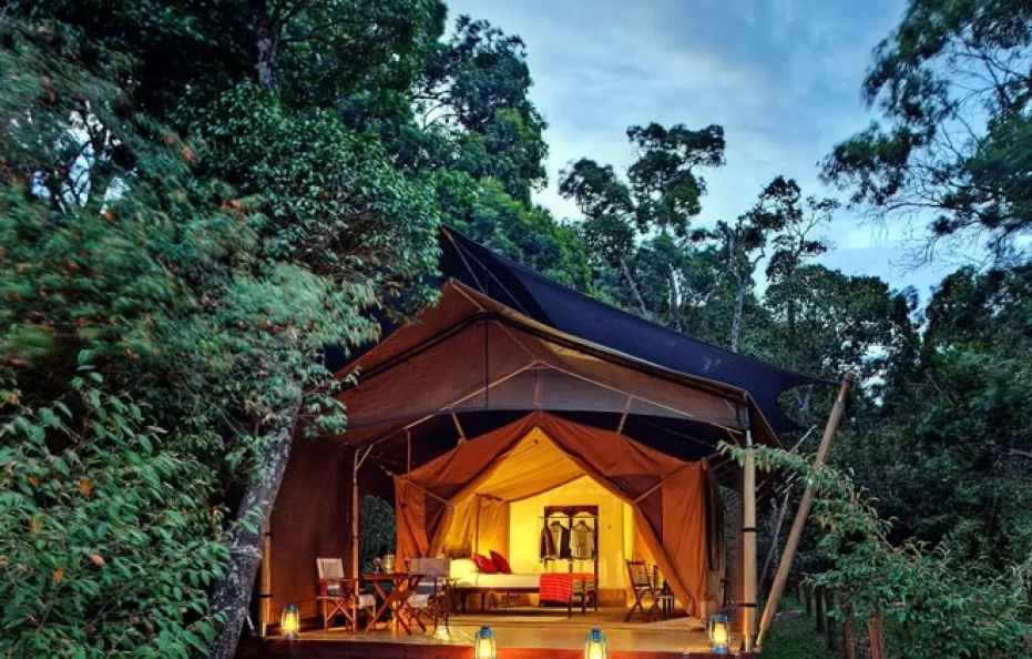 Elephant Pepper Camp