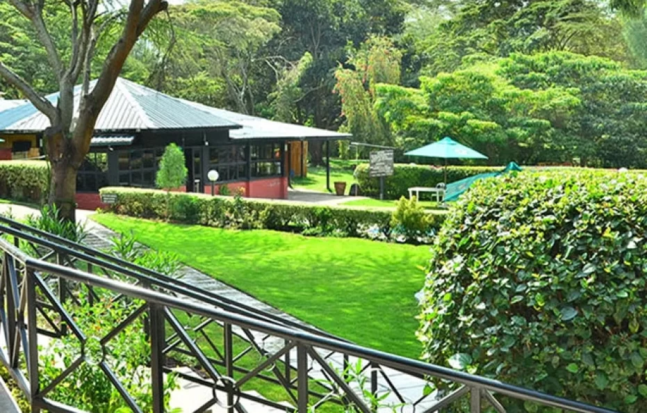 Fish Eagle Inn and Campsite